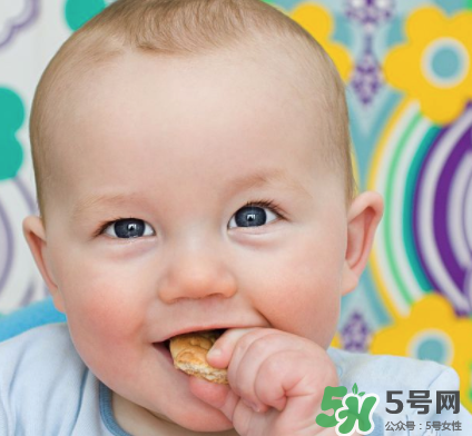 磨牙餅干吃不完怎么辦？磨牙餅干吃到多大？