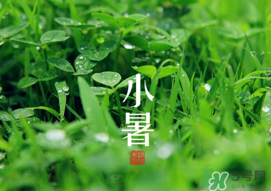 小暑種什么菜？小暑為什么要種牽?；ǎ?></p><p>番茄</p><p>如大番茄，櫻桃番茄。</p><p>黃圣果</p><p>在7月中至8月上旬用營養(yǎng)土播種育苗。播后加蓋遮陽網(wǎng)。</p><p>茄子</p><p>7月上中旬及時定植。</p><p>辣椒</p><p>辣椒于上中旬.在7月中旬至8月上旬用營養(yǎng)土播種、遮陽網(wǎng)覆蓋育苗。</p><p style=