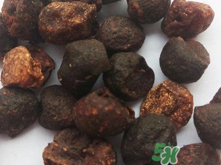 山黃皮的功效是什么？山黃皮的功效與作用