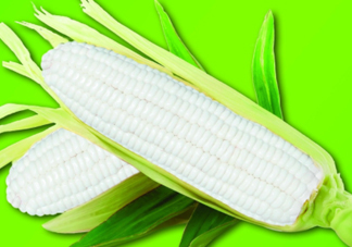 白玉米煮后變黃能吃嗎？白玉米為什么變黃了？