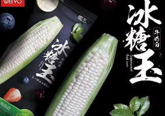 冰糖玉米?是轉(zhuǎn)基因嗎？冰糖玉米多少錢一斤？