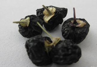 黑枸杞可以和菊花一起喝嗎？菊花和黑枸杞一起喝好嗎