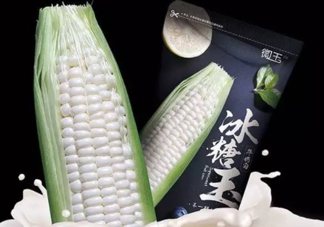微玉冰糖玉米可以生吃嗎？微玉冰糖玉米安全嗎？
