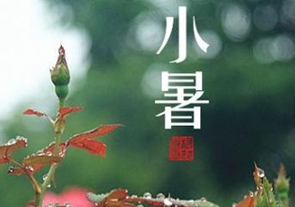 小暑種什么菜？小暑為什么要種牽?；?？