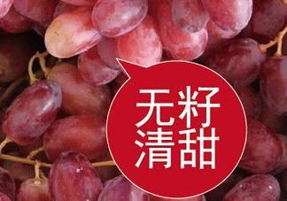 ?無籽紅提?孕婦能吃嗎吃嗎？孕婦能不能吃無籽紅提？
