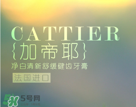 cattier加帝耶是什么牌子？法國cattier什么檔次？