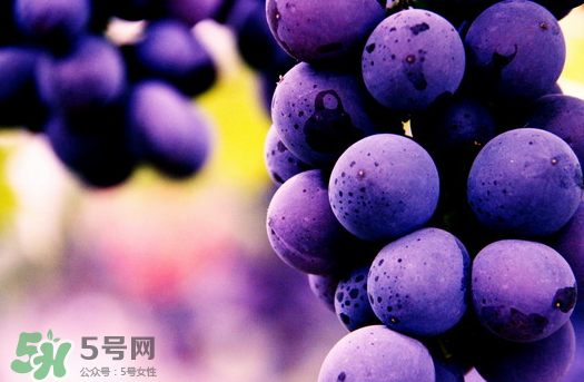 夏黑葡萄多少錢一斤？夏黑葡萄怎么挑選？