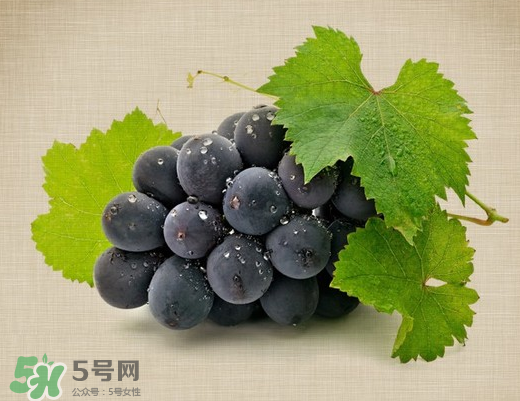 夏黑葡萄多少錢一斤？夏黑葡萄怎么挑選？
