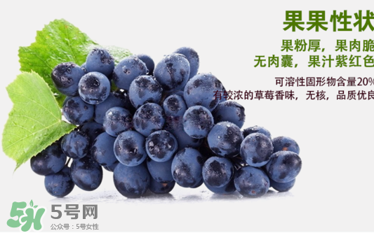 夏黑葡萄怎么洗？夏黑葡萄怎么洗才干凈？