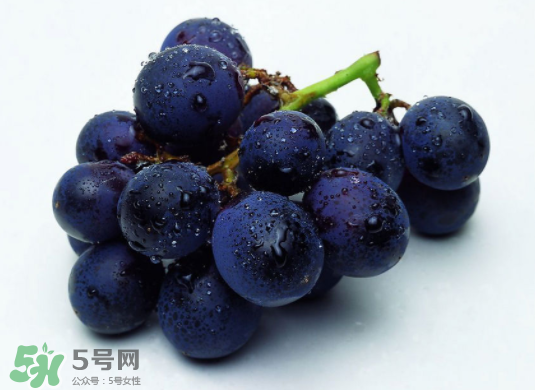 巨峰葡萄和葡萄有什么區(qū)別？巨峰葡萄是轉(zhuǎn)基因的嗎？