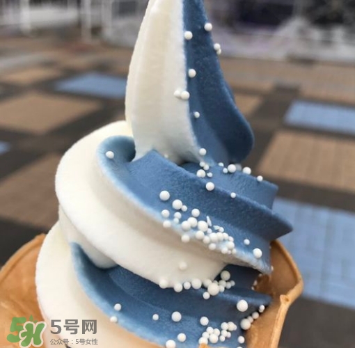 鯨鯊冰淇淋好吃嗎？鯨鯊冰淇淋多少錢？