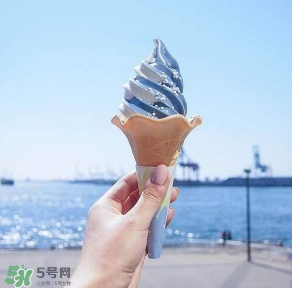 鯨鯊冰淇淋好吃嗎？鯨鯊冰淇淋多少錢？