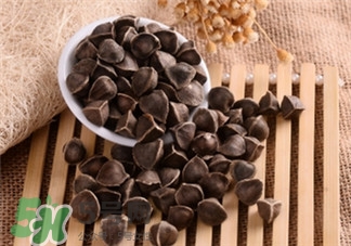 辣木籽怎么吃?辣木籽怎么吃是正確的? 辣木籽怎么吃?辣木籽怎么吃是正確的?