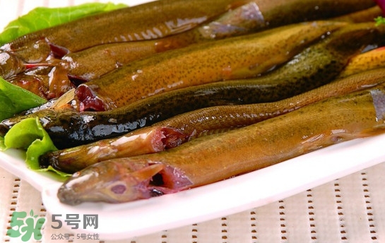 鰻魚是泥鰍嗎？鰻魚與泥鰍什么區(qū)別