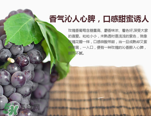 玫瑰香葡萄孕婦能吃嗎？孕婦可以吃玫瑰香葡萄嗎？
