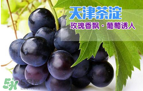 玫瑰香葡萄多少錢一斤？玫瑰香葡萄多少錢一斤2017？