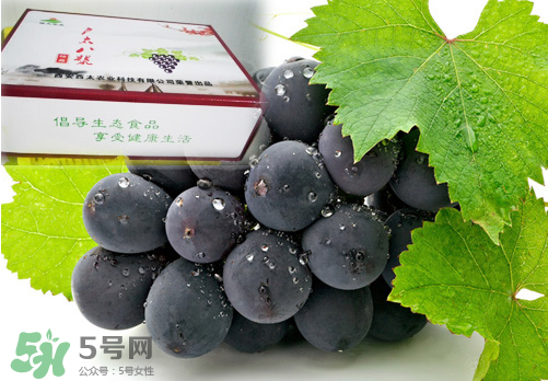 戶太八號葡萄什么時候套袋？戶太八號葡萄什么月份套袋？