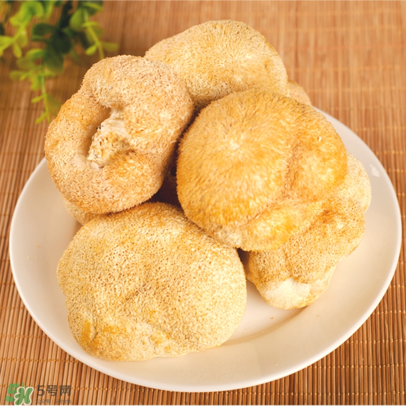 猴頭菇怎樣吃治胃?。亢镱^菇能治胃病嗎？