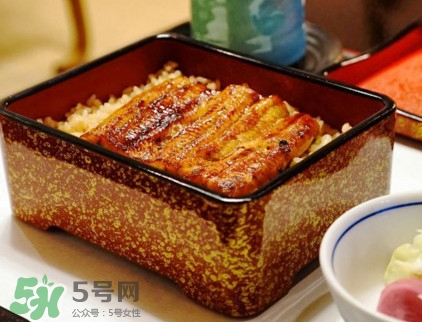鰻魚飯熱量高嗎？鰻魚飯的熱量有多高