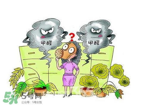 甲醛怎么治理？除甲醛最有效方法