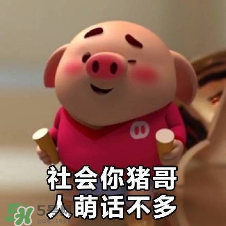 豬小屁表情包是什么？豬小屁表情包為什么這么火？