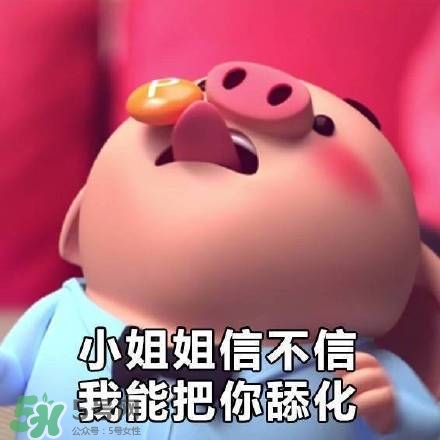豬小屁表情包是什么？豬小屁表情包為什么這么火？