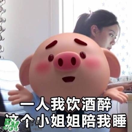 豬小屁多少錢一個？豬小屁哪里可以買到