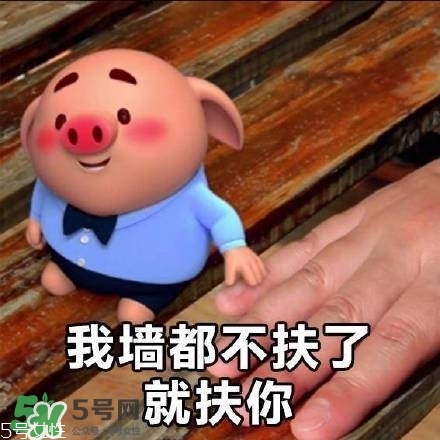 豬小屁多少錢一個？豬小屁哪里可以買到