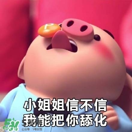 豬小屁多少錢一個？豬小屁哪里可以買到
