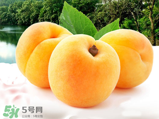 黃桃是酸性還是堿性？黃桃罐頭是酸性還是堿性？