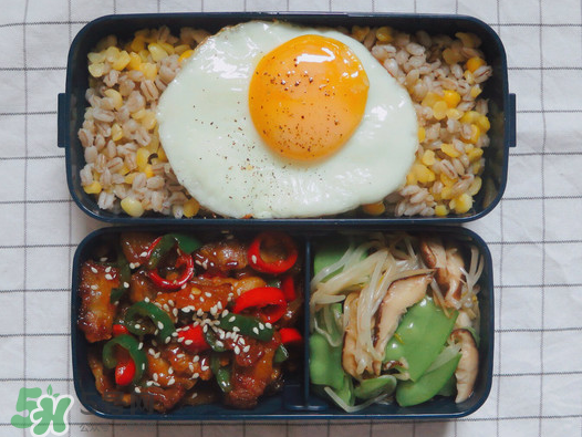 夏天用保溫盒帶飯會壞嗎？夏天能用保溫盒帶飯嗎？