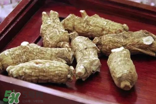 西洋參補(bǔ)腎嗎？西洋參適合什么季節(jié)吃