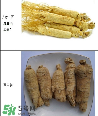 西洋參怎么吃效果最好？西洋參與人參的區(qū)別
