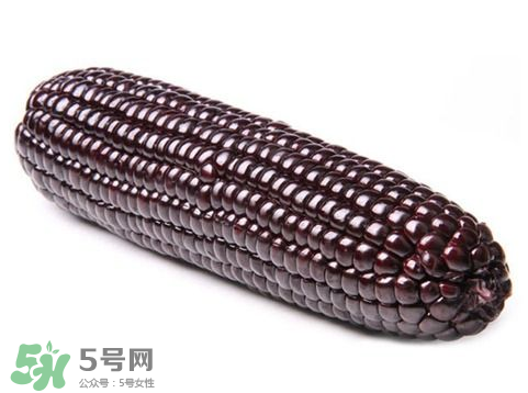 紫玉米會掉色嗎？紫玉米怎么會掉色？