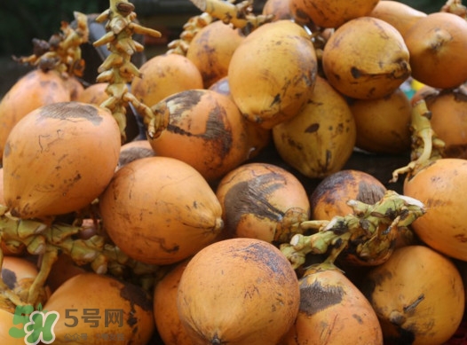 椰子什么時(shí)候成熟？椰子什么時(shí)候吃最好