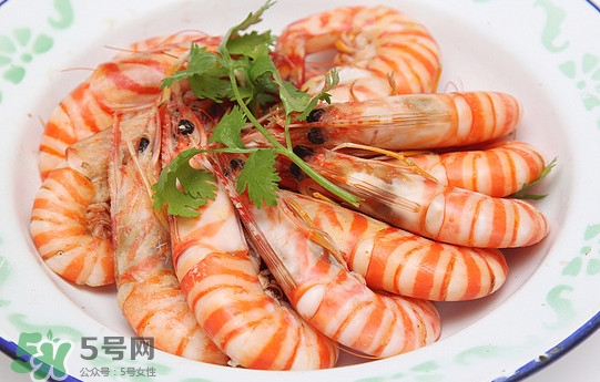活的斑節(jié)蝦多少錢一斤？野生斑節(jié)蝦多少錢一斤