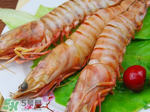 活的斑節(jié)蝦多少錢一斤？野生斑節(jié)蝦多少錢一斤
