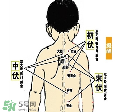 三九灸和三伏灸有什么區(qū)別？做完三伏灸要注意什么？