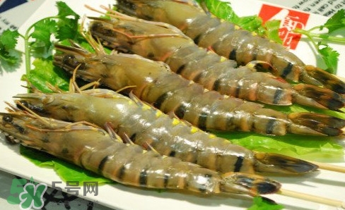 斑節(jié)蝦是九節(jié)蝦嗎？斑節(jié)蝦和九節(jié)蝦的區(qū)別