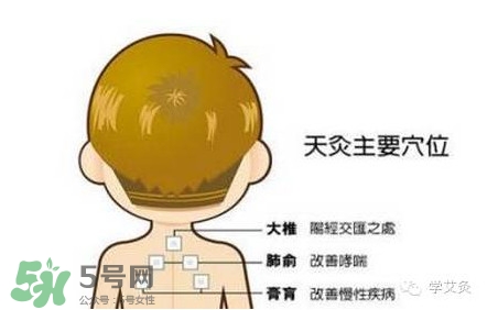 三伏灸灸哪里？三伏灸是每天都灸嗎