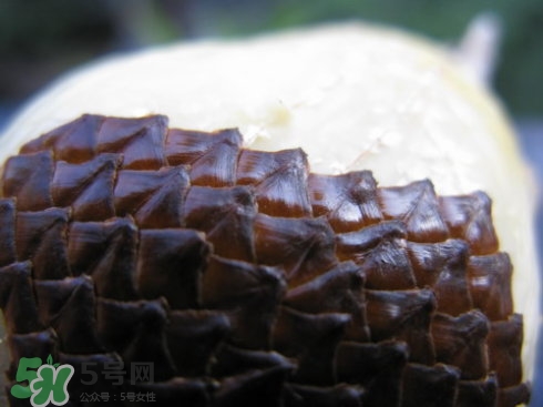 蛇皮果能生吃嗎？蛇皮果能放冰箱嗎？