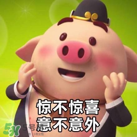 豬小屁表情包是什么？豬小屁表情包為什么這么火？