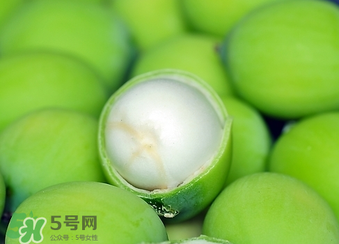 新鮮蓮子多少錢一斤？新鮮蓮子哪里有賣？