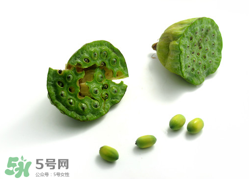 新鮮蓮子可以直接吃嗎？生蓮子可以直接吃嗎？