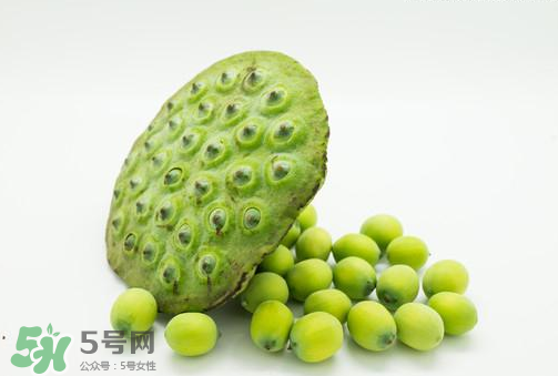 新鮮蓮子可以直接吃嗎？生蓮子可以直接吃嗎？