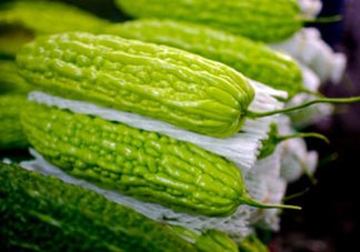 苦瓜多少錢一斤？苦瓜多少錢一斤2017？