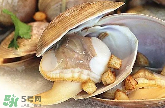 蜆子是蛤蜊嗎？蜆子和文蛤怎樣區(qū)別