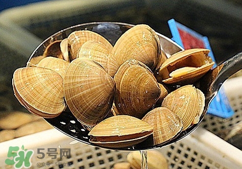 黃蜆子和花蜆子哪個(gè)好？黃蜆子和花蜆子的區(qū)別