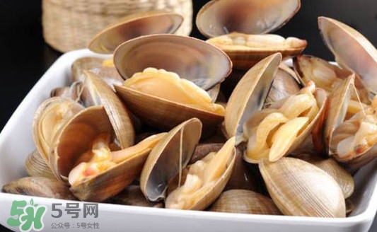 黃蜆子多少錢一斤？河蜆子多少錢一斤