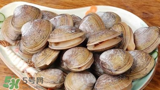 蜆子是蛤蜊嗎？蜆子和文蛤怎樣區(qū)別